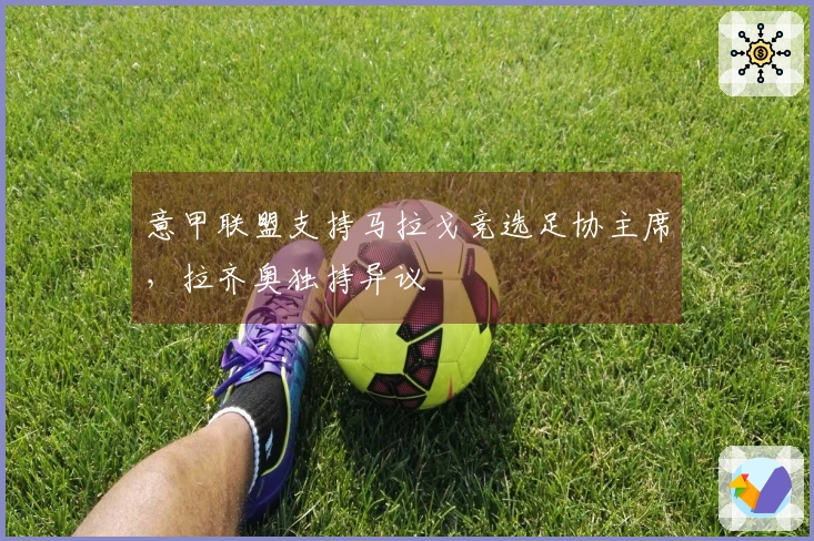 意甲联盟支持马拉戈竞选足协主席，拉齐奥独持异议