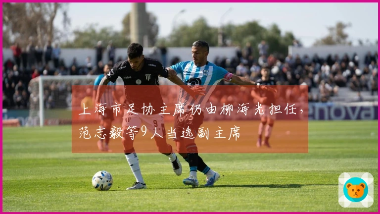 上海市足协主席仍由柳海光担任，范志毅等9人当选副主席