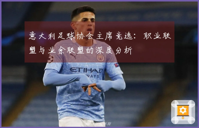 意大利足球协会主席竞选：职业联盟与业余联盟的深度分析