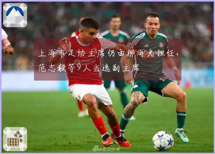 上海市足协主席仍由柳海光担任，范志毅等9人当选副主席